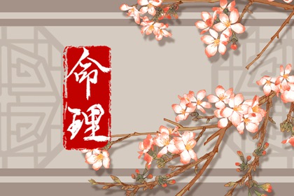 今天黄历五行|干支黄历查询|农历黄历万年历|2026老黄历|实时黄历