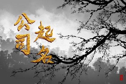 起名在做什么?